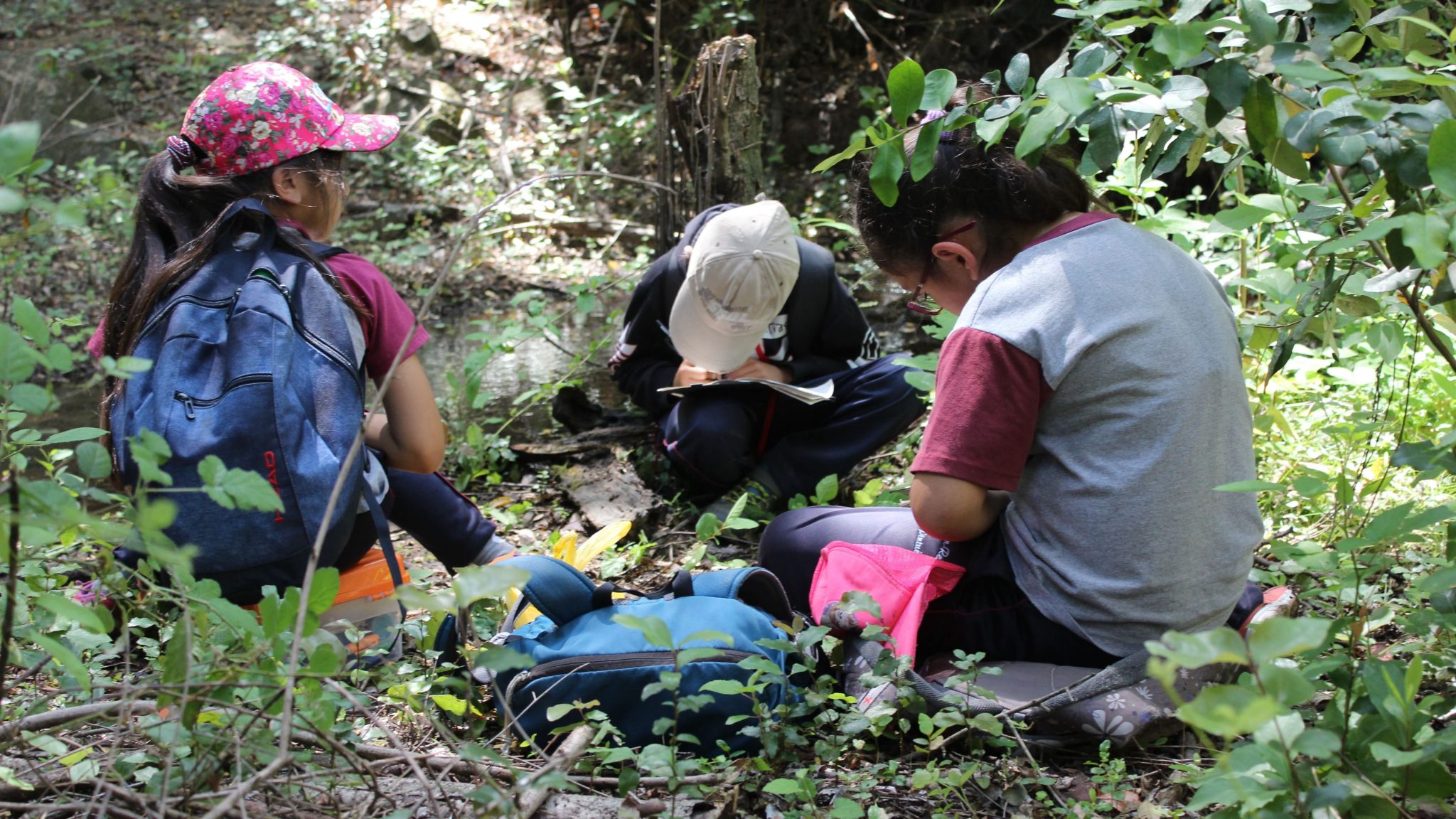 Aprender En La Naturaleza Revisa Los Programas De Educaci N Ambiental